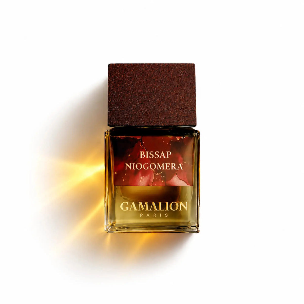 BISSAP NIOGOMERA Gamalion Paris