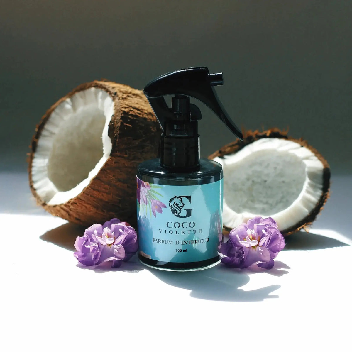COCO VIOLETTE Gamalion Paris