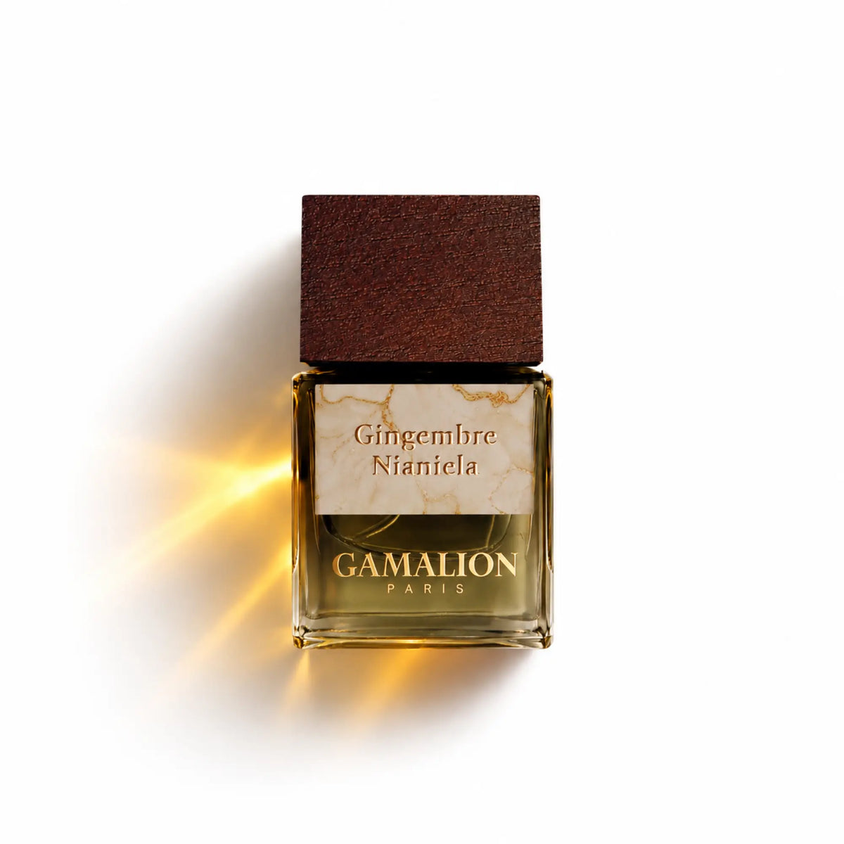 GINGEMBRE NIANIELA Gamalion Paris