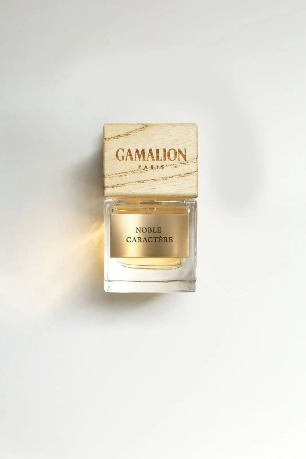 NOBLE CARACTERE Gamalion Paris