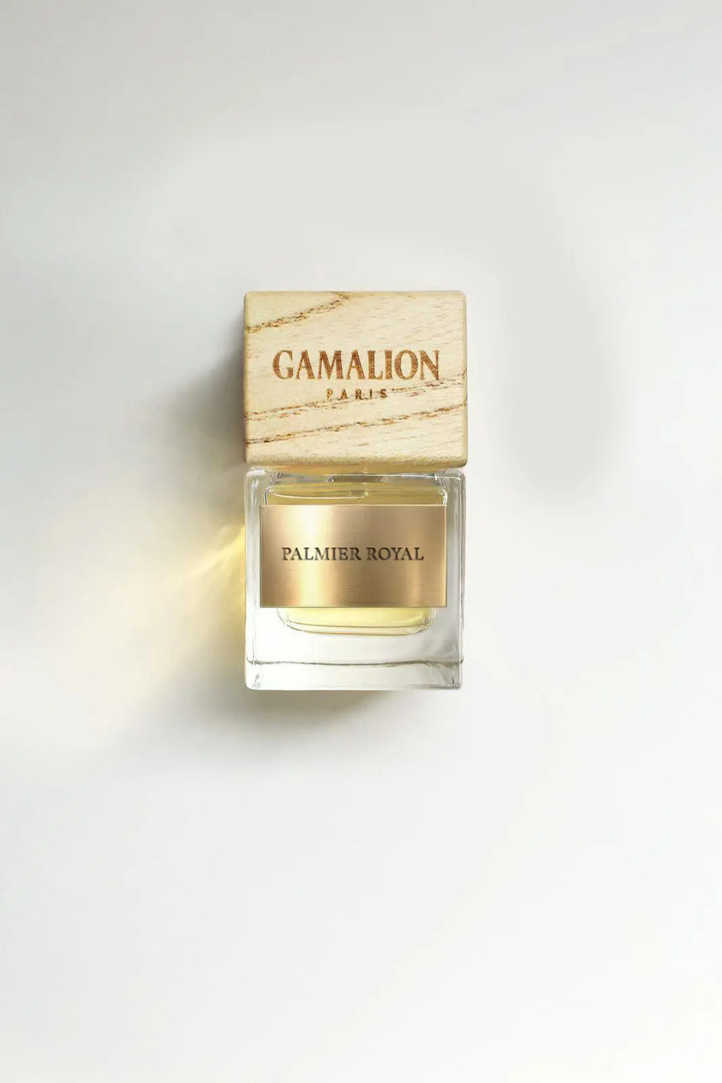 PALMIER ROYAL Gamalion Paris